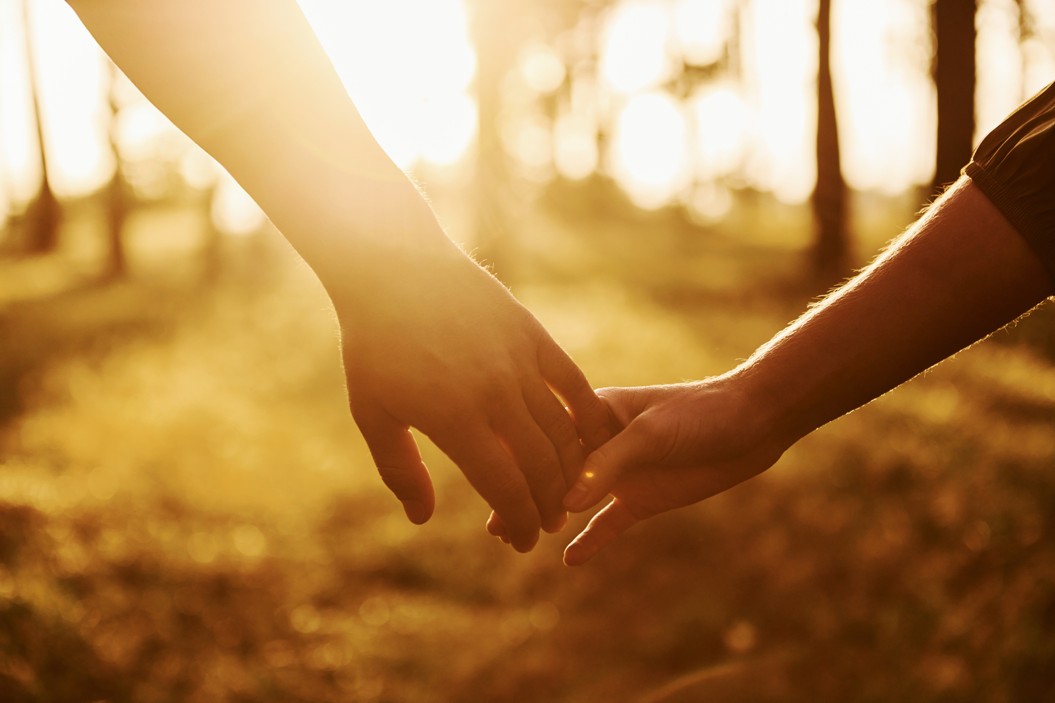 Close up view of hands. Happy couple is outdoors in the forest at daytime Close up view of hands. Happy couple is outdoors in the forest at daytime.