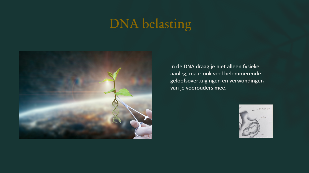 Schermafbeelding 2026-04-01 125020